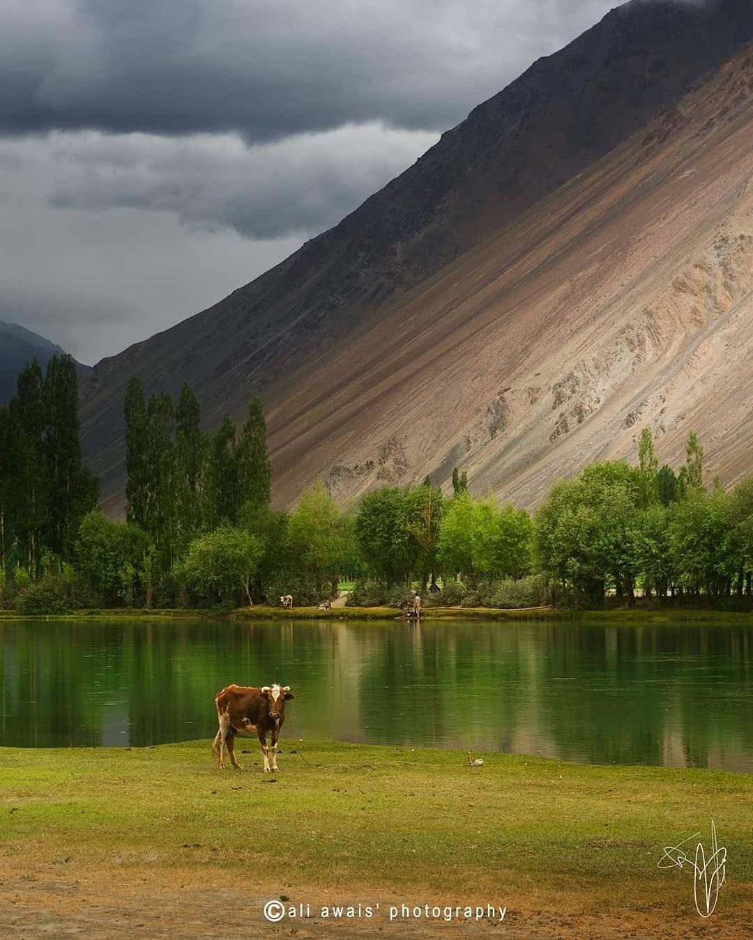 Phander Valley Is The Hidden Paradise In The Karakoram | Travel Girls ...