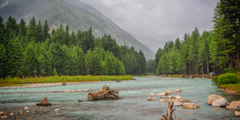 Kumrat Valley