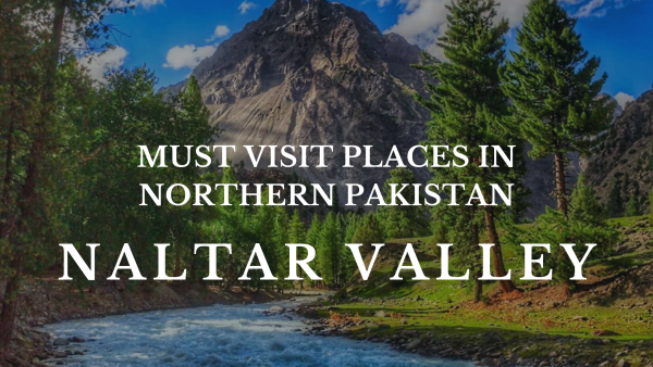 Naltar Valley - A Must Visit Place in Northern Pakistan